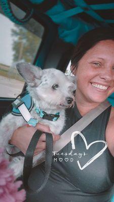 Rocky is the boss of dogwash town....Kingfisher... Super professional and very passionate... Go there you won't be disappointed.'