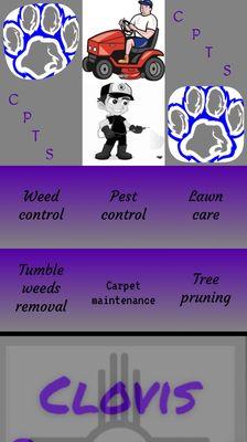 Clovis Pro Turf & Spray Tech Services