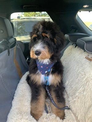 Prescott Animal Hospital Equine Center