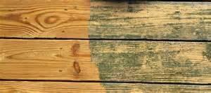 Taylor’s Maintenance