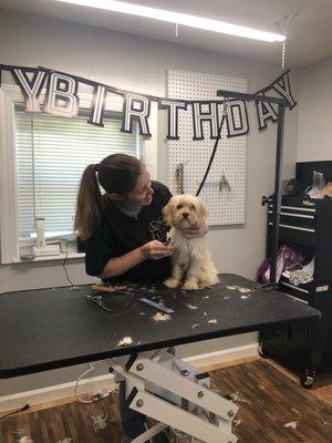 Barkmore Inn and Salon