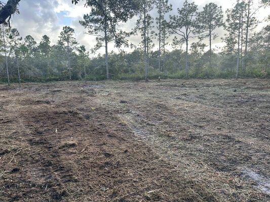 Quality Improvement Consultants