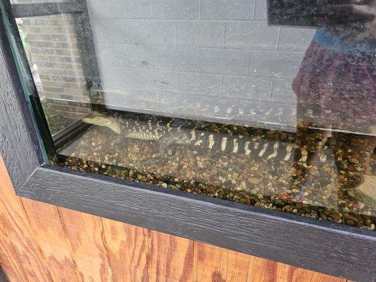 Fort Worth Nature Center & Refuge