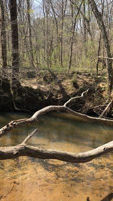 Leon Hall Price Park