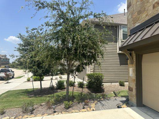 Salcantar Landscaping