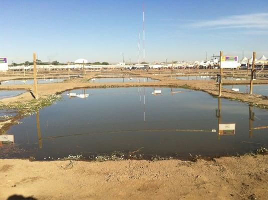 Aaron's Mudd Volleyball Tournament