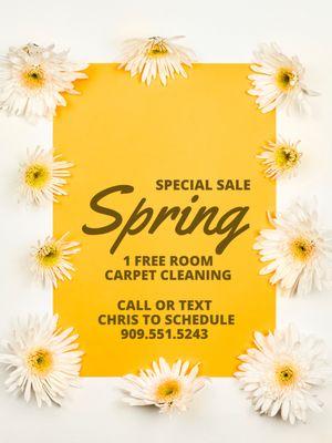 Making Moves Carpet & Tile