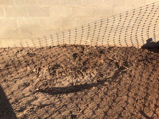 Cesar Save Nature Tree Service