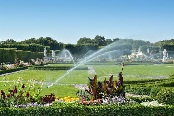 Joaquin Marquez Landscape