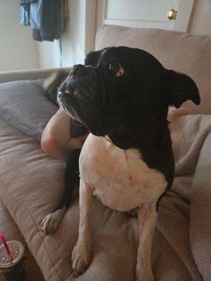 Neely Mechanical Services