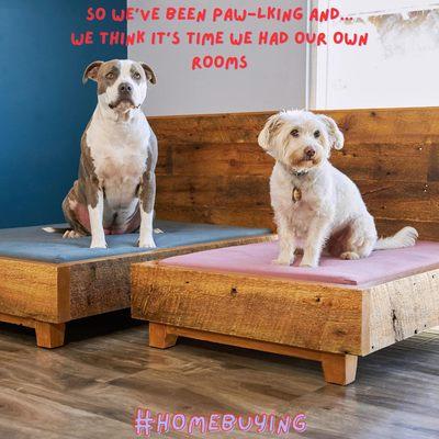 Stephanie Feiner - Real Estate Agent