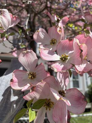 Royall House And Slave Quarters