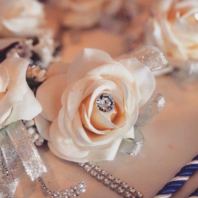 Scape Audio New England