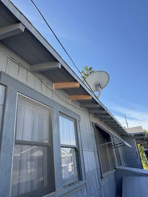 Mountain View Termite