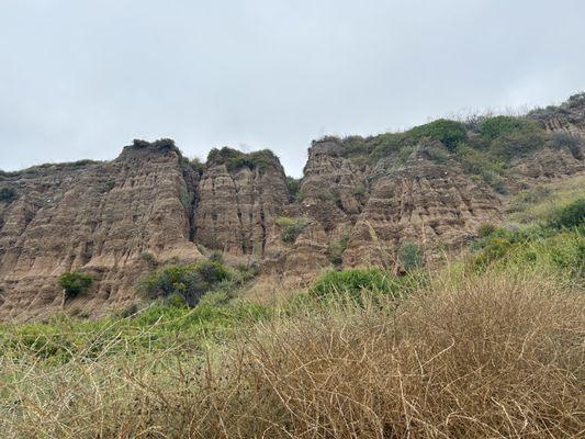 San Onofre State Beach Campgrounds