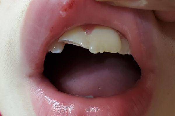 Wake Orthodontics & Pediatric Dentistry