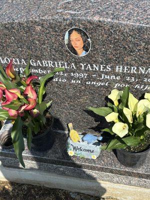 California State Board of Equalization