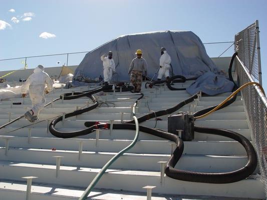 AAA Lead Consultants and Inspections