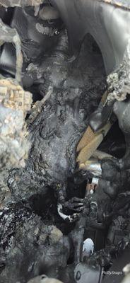 Faulkner Hyundai Of Philadelphia