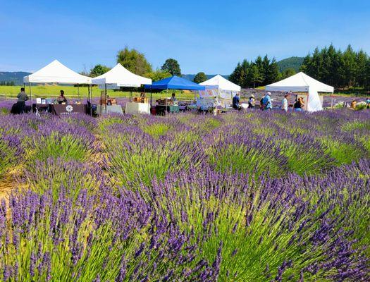Hood River Lavender Farms
