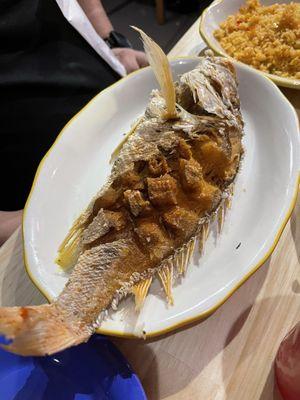 Whole scored snapper