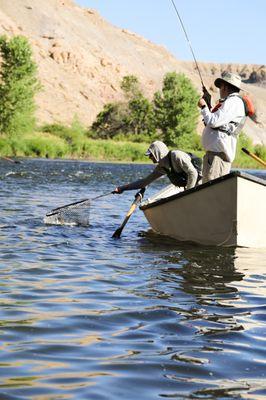 Drift boat fly fishing with RIGS Fly Shop on the Lower Gunnison River