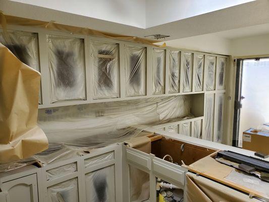 Steins Handyman Home Services