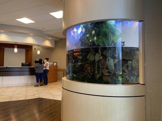 Matthew Carmichael, MD