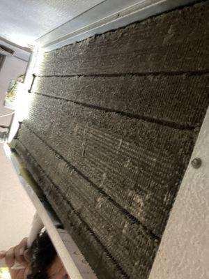 East coast refrigeration