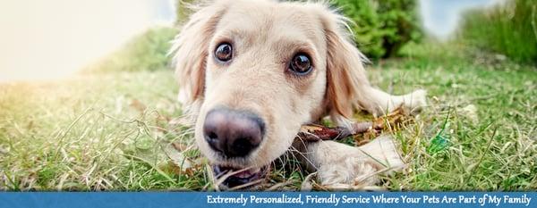 Auntie Linda's Pet Sitting Service