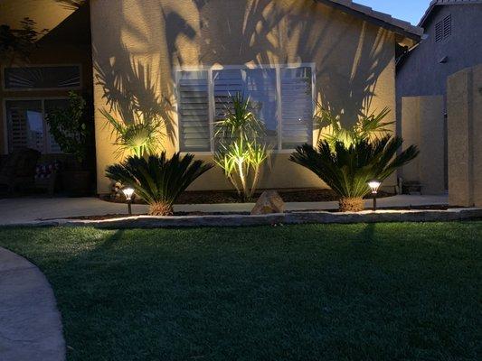 Blue Coast Landscaping