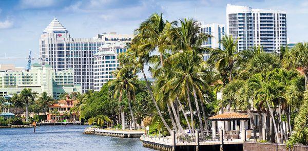 Goldman Vein Institute