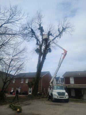 Justin Spurlock Jack of All Trades