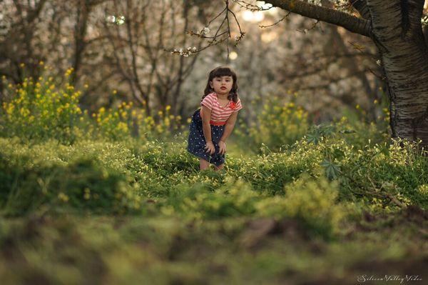 Silicon Valley Video