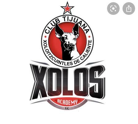 Xolos Academy