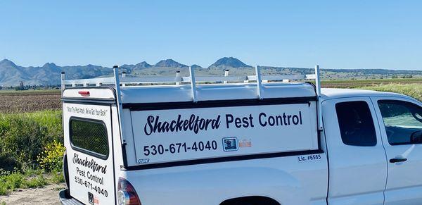 Shackelford Pest Control