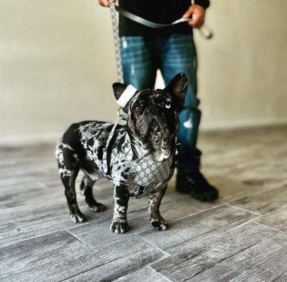 Precision Reproductive Resources