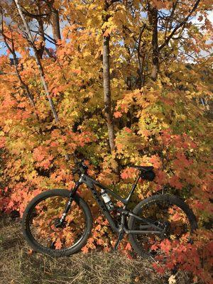 Mount Nebo Scenic Byway