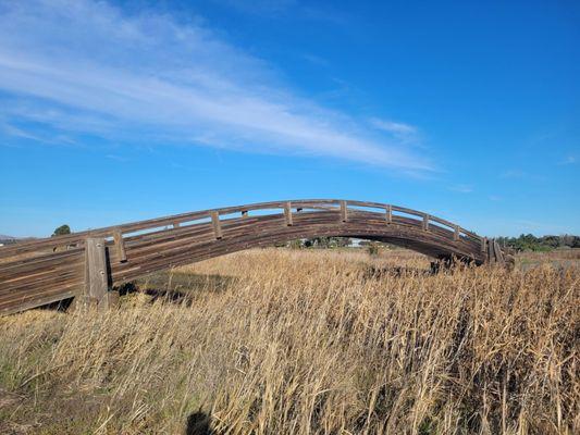 Radke Martinez Regional Shoreline