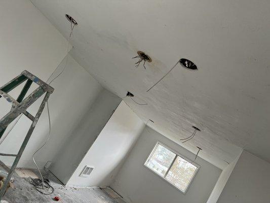 Premier Handyman Services