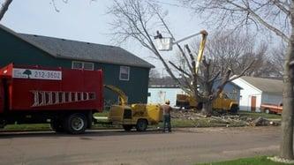 AAA Tree Service Sioux Falls SD