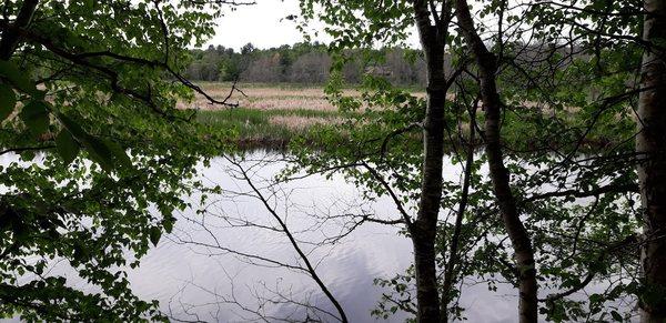 View from my campsite