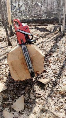 Carrier's Outdoor Maintenance