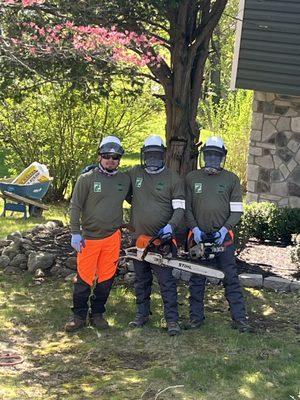 Green Leaves Tree Service