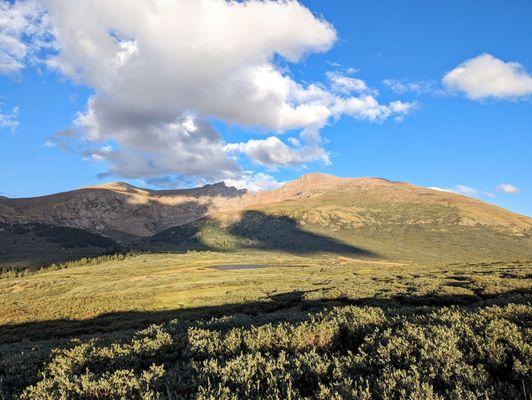 Instagram: @telephonesmoothie