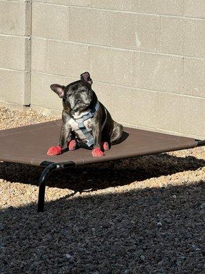 Not feeling well vestibular flare up