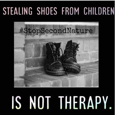 Second Nature Blue Ridge