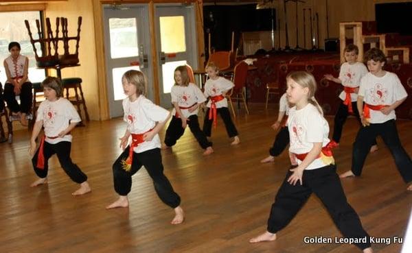 Golden Leopard Kung Fu