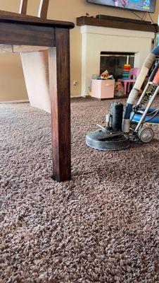 Carpet Cleaning Aladino