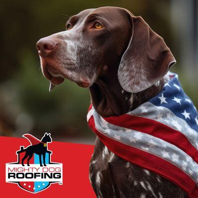Mighty Dog Roofing